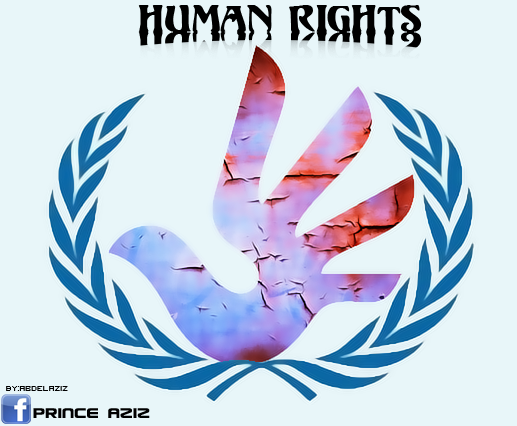 Human Rights (Abdelaziz)
